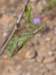 img_0011_small.jpg