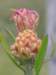 img_0034_small.jpg