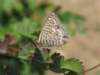 img_5144_small.jpg