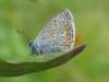 img_5205_small.jpg