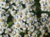 img_5400_small.jpg