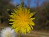 img_5725_small.jpg