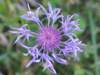 img_5755_small.jpg