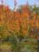 img_5780_small.jpg