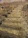img_5945_small.jpg