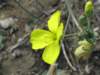 jeseni2007055_small.jpg