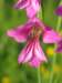 img_5390_small.jpg