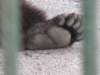 olavnaravi019_small.jpg
