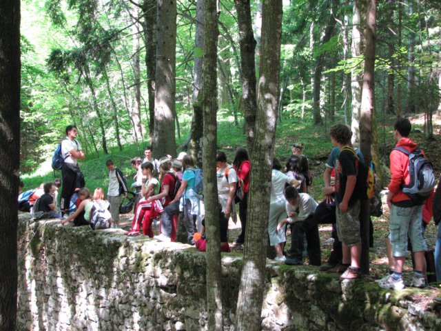 olavnaravi077.jpg