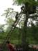 olavnaravi158_small.jpg