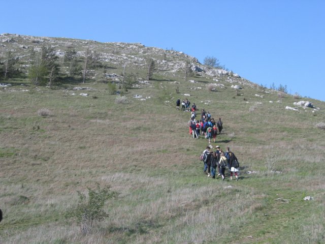 img_1941.jpg