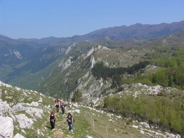 img_8637.jpg