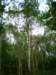 p8190075_small.jpg