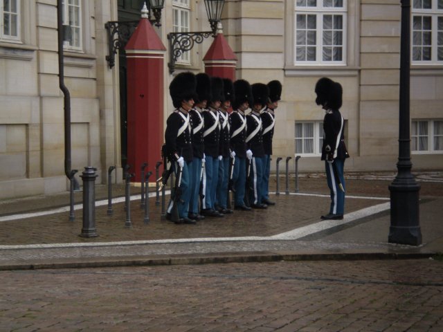 p8200138.jpg