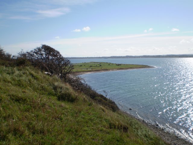 p8220262.jpg