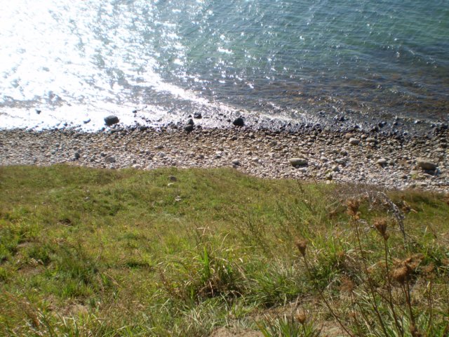 p8220263.jpg