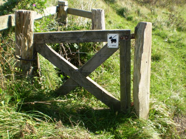 p8220269.jpg