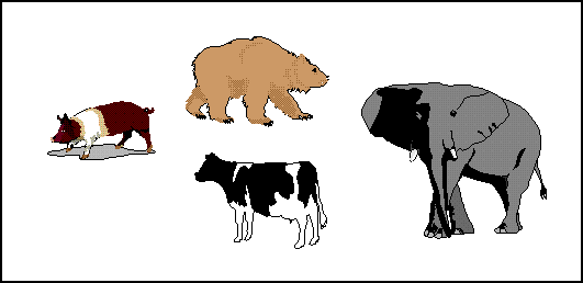 animals2
