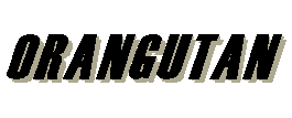 Orangutan