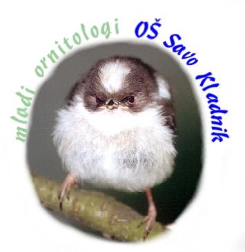 Krozek_znak.JPG (16527 bytes)