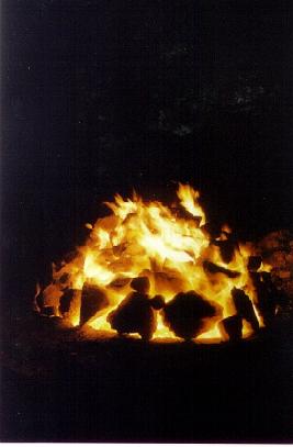 apnenica_kamenje_gori.JPG (13831 bytes)