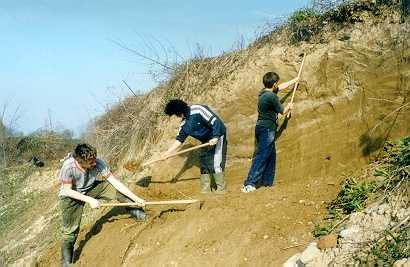 breguljka_ciscenje_stene.jpg (20296 bytes)