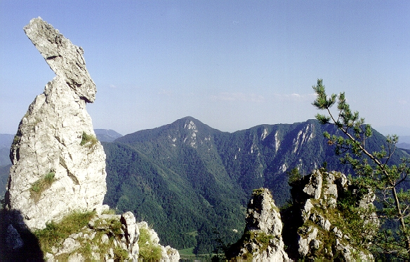 kamniti_zajec.JPG (246587 bytes)