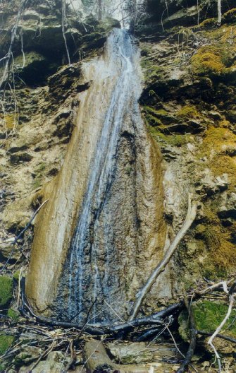 slap_loka_1.jpg (72790 bytes)