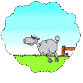konj.gif
