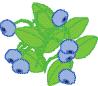 BLUEBERRY.jpg