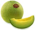 MELON.jpg