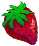 STRAWBERRY.jpg