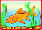 goldfish.jpg