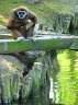 IMG_7276