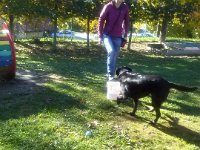 CAM00495  GoogleUploaded