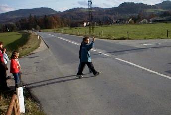 Dolgo je �akal, preden je lahko pre�kal cesto! Le zakaj?