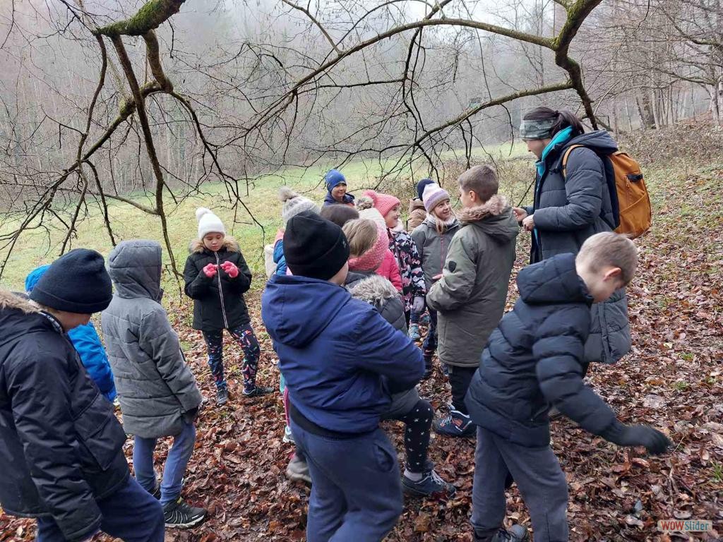 IMG-2b986d5a53136d7b0ea1e2a2e30016e0-V