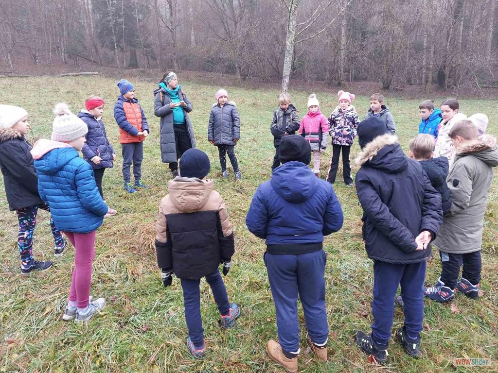 IMG-31b02856be89cd916802605ba3263794-V