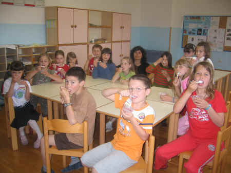 foto.jpg (499030 bytes)