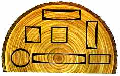 susenje.jpg (8071 bytes)