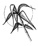 bambus.gif (9738 bytes)