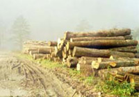 les_secnja.jpg (10781 bytes)