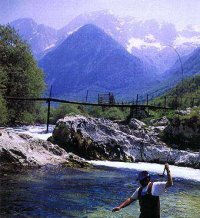 ribic1_tn.jpg (15974 bytes)