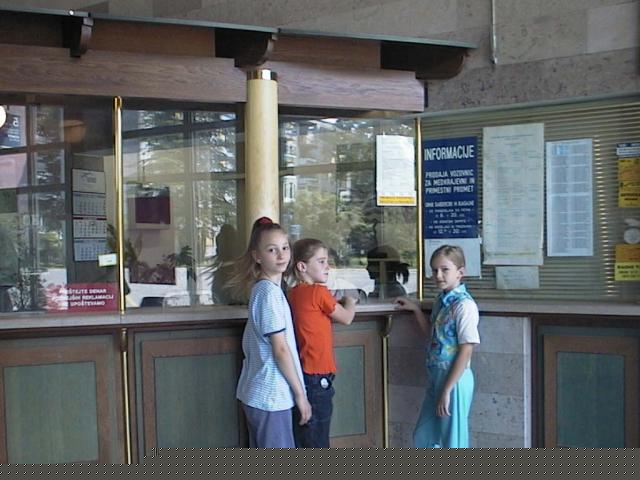 prod_voz.JPG (48836 bytes)