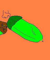 Hrastov plod - �elod.