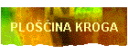 PLO��INA KROGA