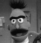 Portraits of the participants 