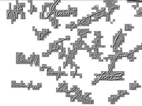 Participants signatures