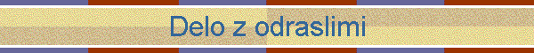 Delo z odraslimi