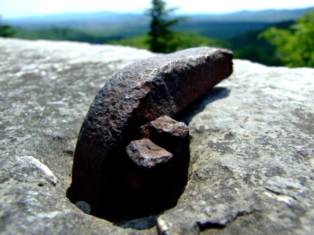 Photograph